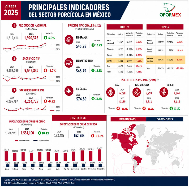 Producción de carne de cerdo en México crece 6%
